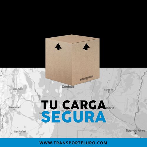 Imagen 12